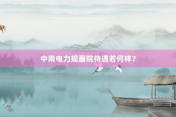中南电力规画院待遇若何样？