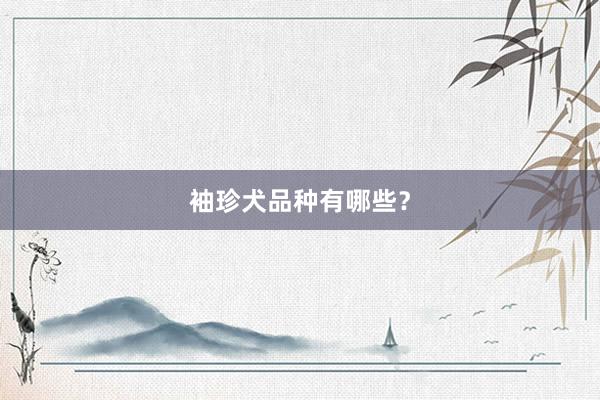 袖珍犬品种有哪些？
