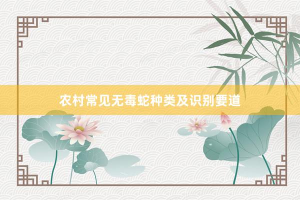 农村常见无毒蛇种类及识别要道